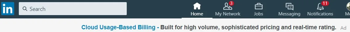 LinkedIn targeted paid advertising options for businesses